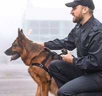 Maître chien